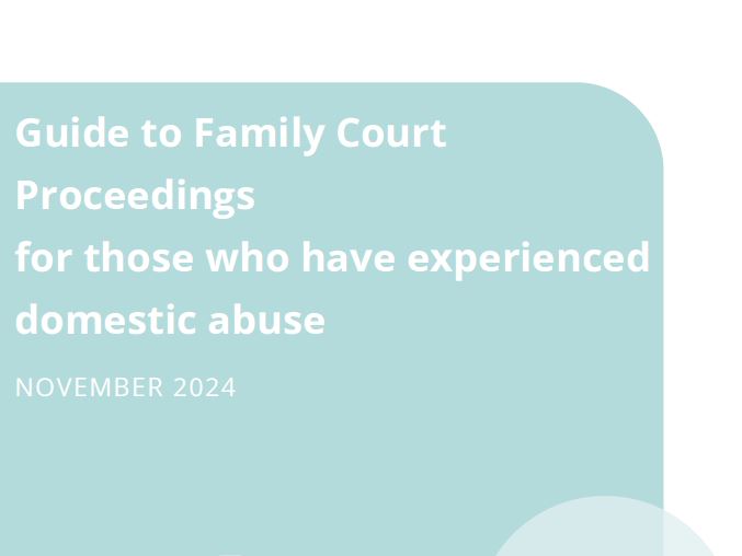 Guide to the family court proceedings for victims/survivors of domestic abuse released