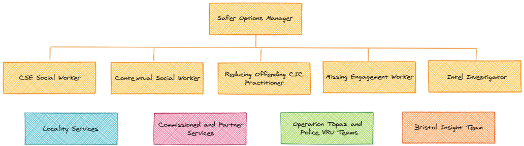 Safer Options Team Structure