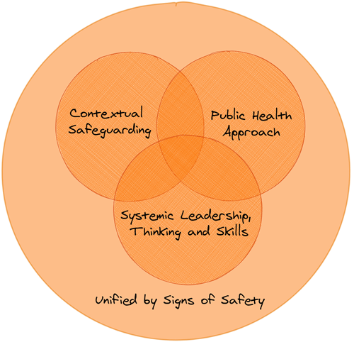 Safer Options Practice Model Diagram